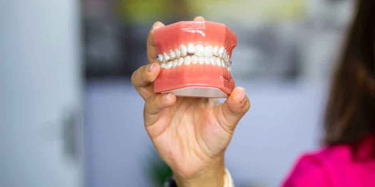Dentist With Payment Plans for Different Types of Denture