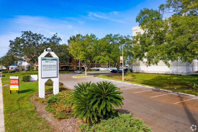 Dentist Tampa FL Gentle Dentistry Dr. Loc Tong D.D.S. EXTERIOR 768x512